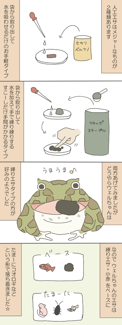 カエルのイラスト２