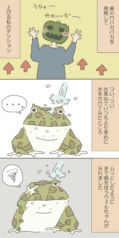 カエルのイラスト3