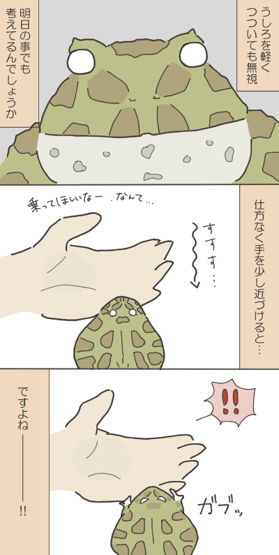 カエルのイラスト２