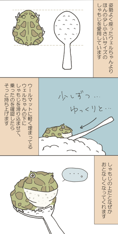 カエルのイラスト２