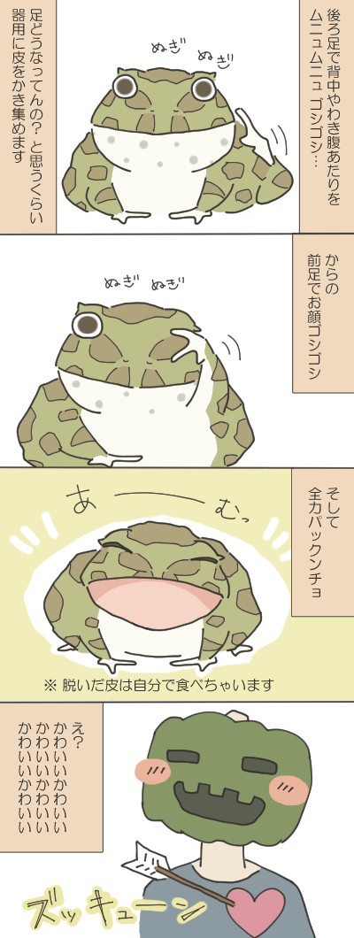 カエルのイラスト２