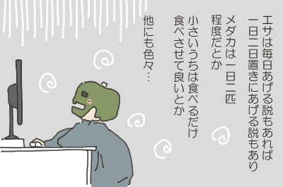 カエルのイラスト4