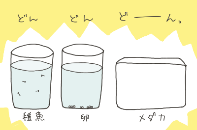 カエルのイラスト２