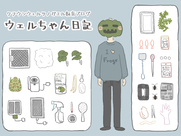 クラウンウェルツノガエル飼育ブログ、ウェルちゃん日記