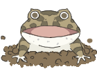 飛び出すツノガエルブラウン