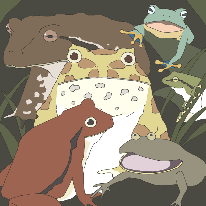 My favorite frogs