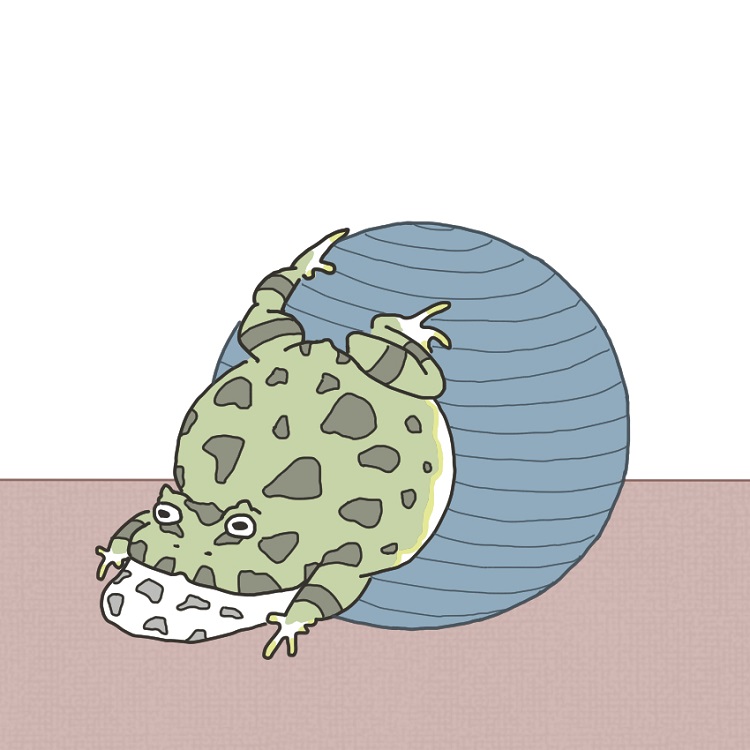 バランスボール