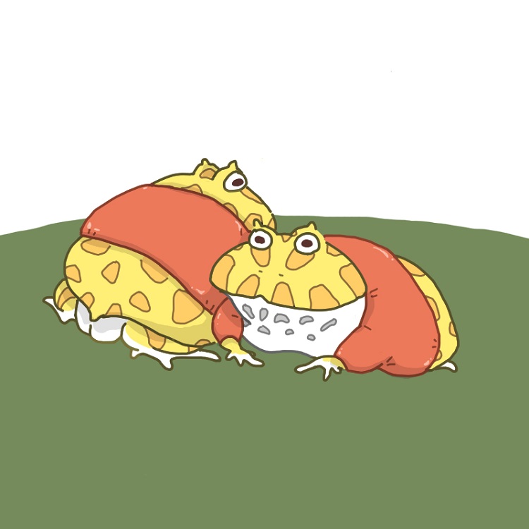 オレンジTシャツ