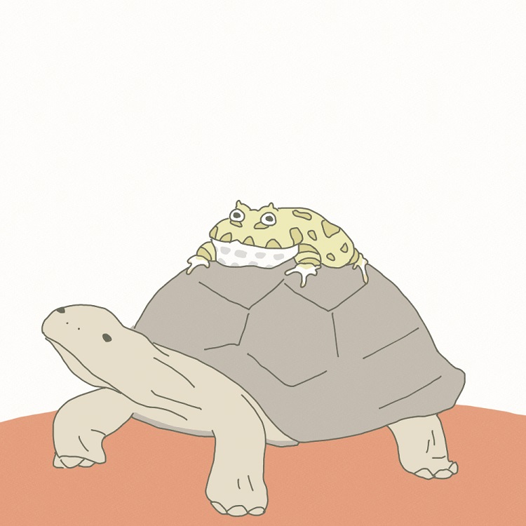 運んでちょーだい