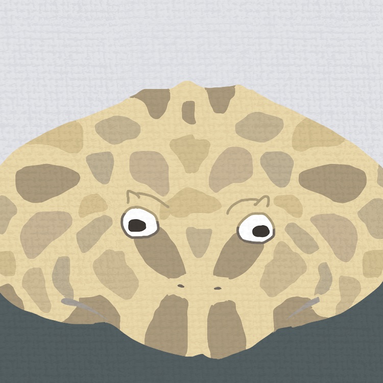 まだちょっと寒いね