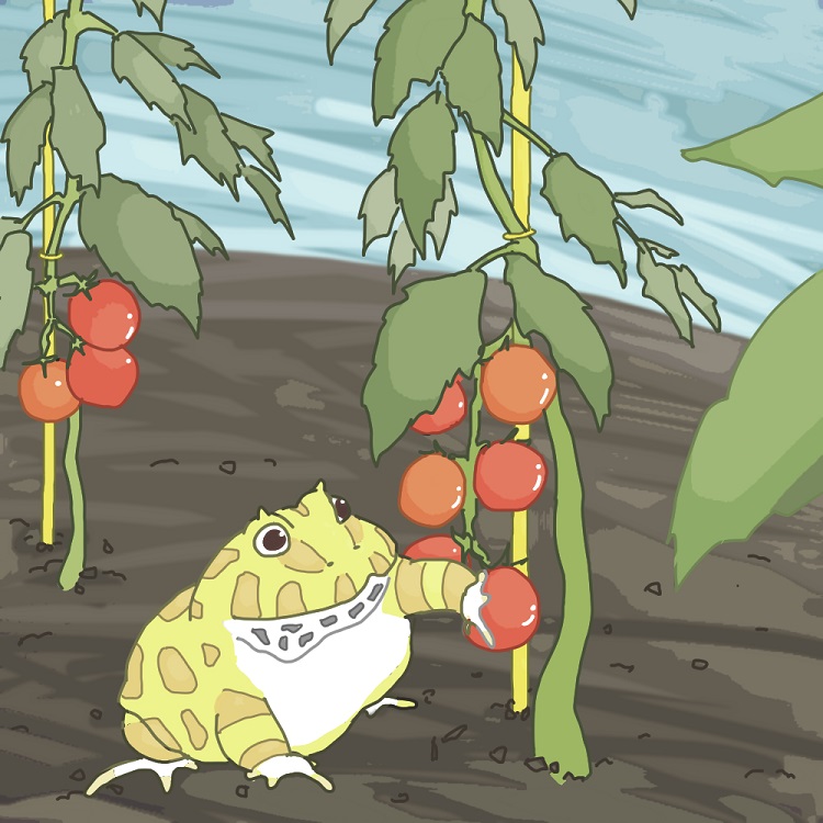 第一陣が実りました