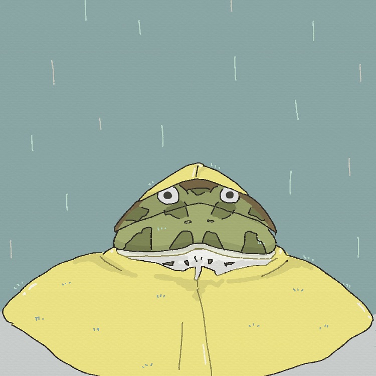 雨