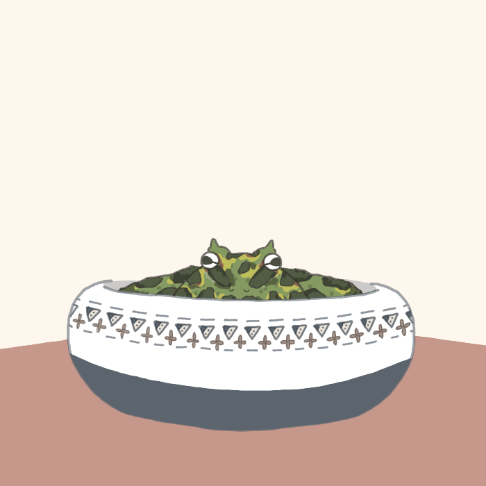 知らない雑貨屋で君のために買った皿