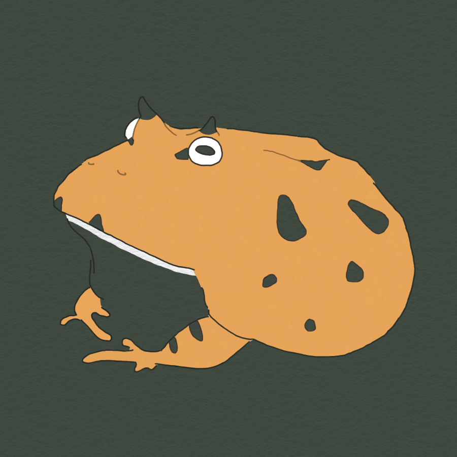 パンプキンアマゾン