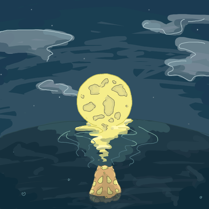 ツノガエルと月と海